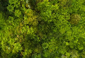 Sustainability