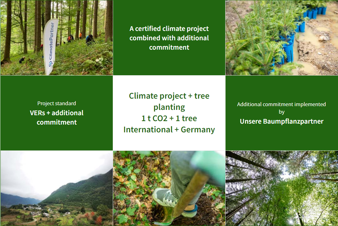 Video Games Europe climate offset project + tree planting 1t CO2 + 1 tree international + Germany
